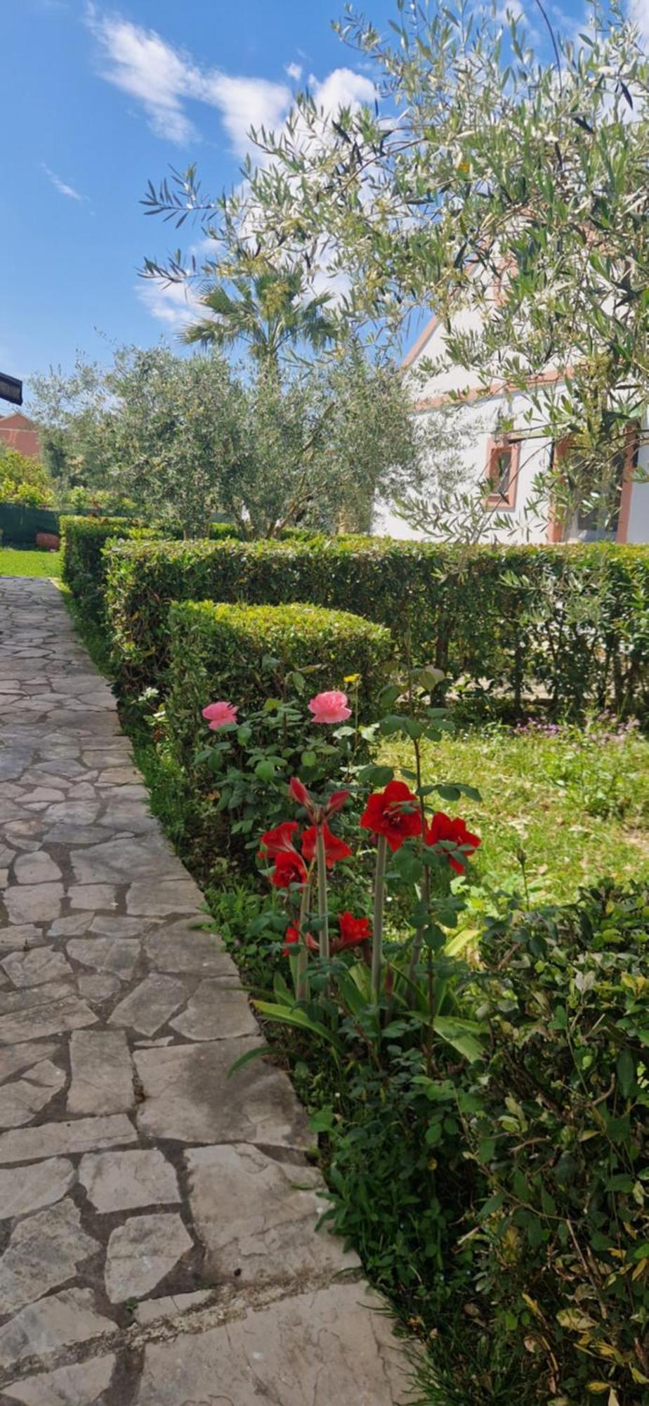 Corfu Studio 4U Roda  Exteriér fotografie